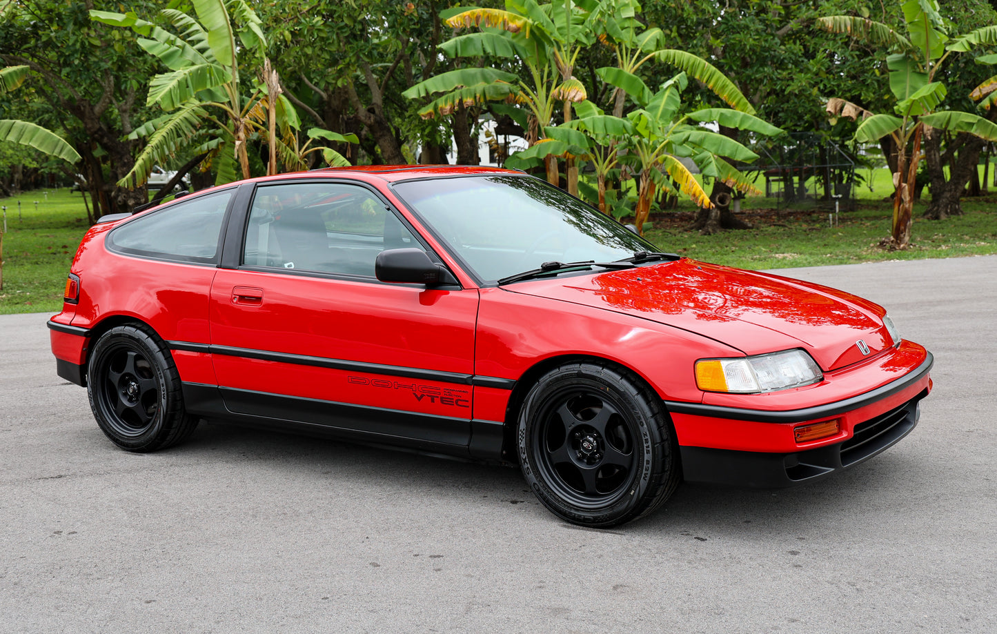 RED DIAMOND-CRX