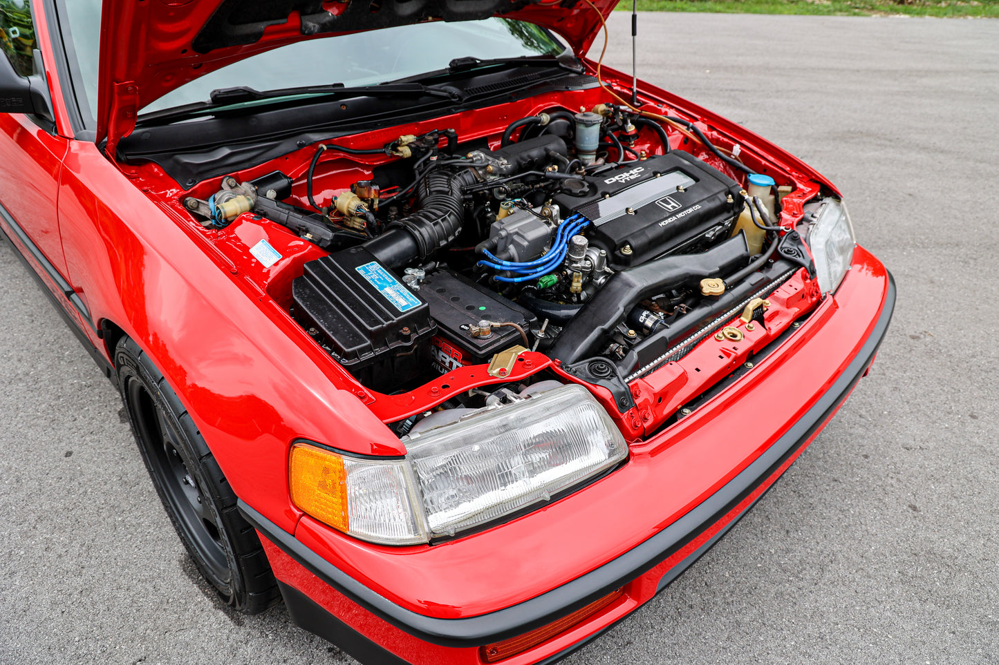 RED DIAMOND-CRX